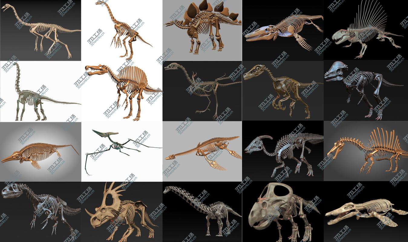 images/goods_img/20210113/20 in1 Dino skeleton Collection model/1.jpg